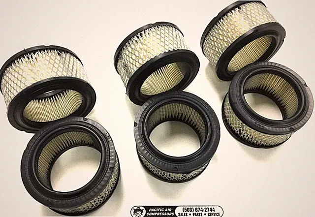 6 Pack - Champion R15B, R30D, RV15, RV30 4 Micron Air Filter Element