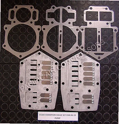 Champion Complete Valve Plate Kit with Gaskets # 22NN96 fits RV15 RV30